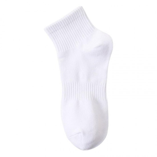 Everyday Cotton Crew Socks