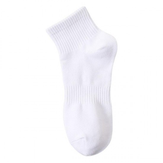 Everyday Cotton Crew Socks